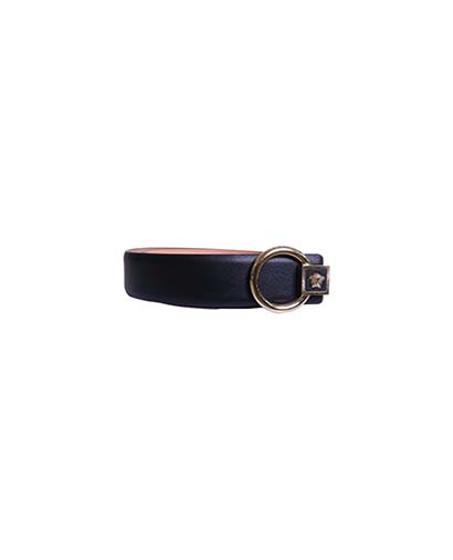 Versace Belt, front view